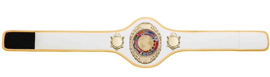 CHAMPIONSHIP BELT PRO286/G/WLDFLAGG - AVAILABLE IN 10+ COLOURS